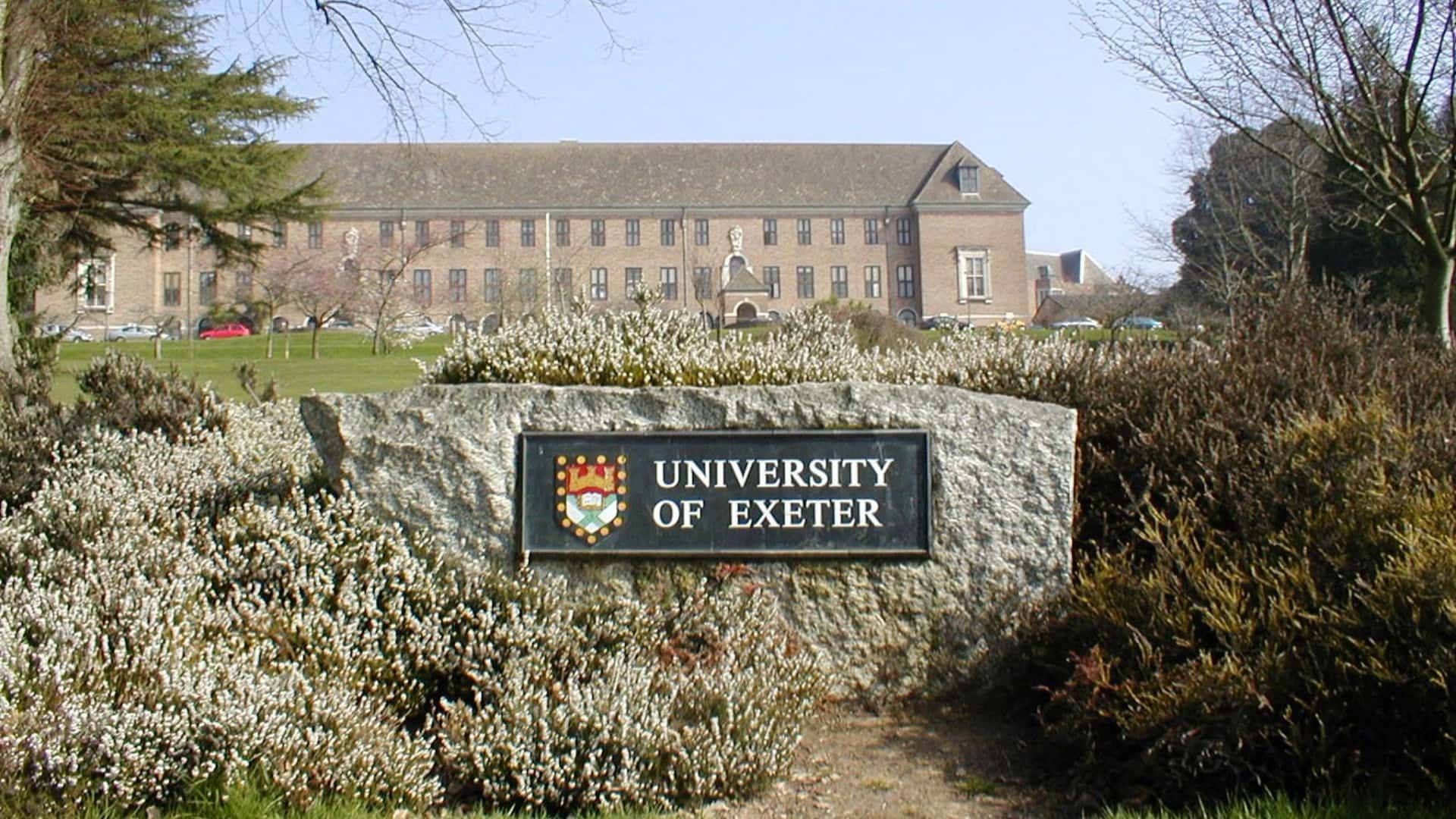 Our PhD Student Ahsen Nur Bozkuş was Accepted from the University of Exeter